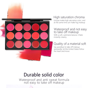 मखमली मैट 15 रंग होंठ चमक पैलेट गैर-चिपचिपा मेकअप मॉइस्चराइजिंग लिपस्टिक क्रीम किट वाटरप्रूफ लिप पैलेट - Product Image 3