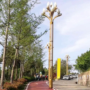 โคมไฟถนน LED แบบเสาสูง IP65 สำหรับตกแต่ง ฐาน E27 หลายหัวส่องสว่าง ใช้สำหรับถนน สนามกีฬา และไฟส่องสว่างภูมิทัศน์ ทำจากอลูมิเนียมอัลลอย - Product Image 3