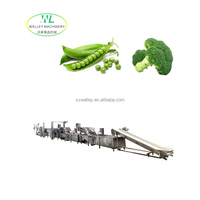 China verwerkingslijn roestvrijstalen commerciële voedseldroogmachine voor fruitfabriek, inclusief after-sales ondersteuning voor apparatuur