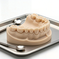 Servicio de Impresión 3D en Metal, Servicio de Impresión 3D DMLS, Piezas de Titanio Ti6Al4V