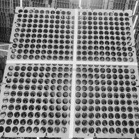 Cellules de drainage modulaires en HDPE pour jardins sur toits et parcs, avec feuille plastique et plaque de drainage alvéolée
