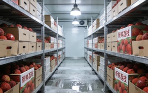Grande chambre froide de plain-pied pour le stockage de poulet congelé, pour projets de congélation et de refroidissement, chambre froide de plain-pied, chambre froide industrielle - Product Image 2