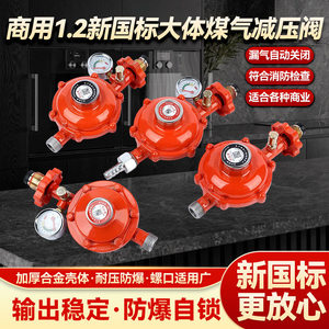 Vanne de réduction de pression de gaz commerciale antidéflagrante à fermeture automatique avec coupure de surintensité pour gaz liquéfié - Product Image 4