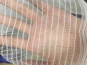 Malla Agrícola de Plástico HDPE para Árboles de Manzano, Red <span class=keywords><strong>Anti</strong></span>-Abejas y Granizo, Marca SUGRAND, Longitud Personalizada - Product Image 5