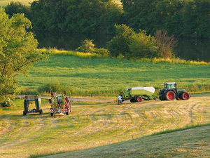 Famous Brand Combine Harvester RG25 4LZ -2.5 G New RG25 for Sale - Product Image 3