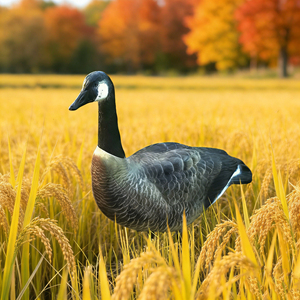 Señuelo de Ganso Impreso con UV Directo de Fábrica, Atractor Visual Estático 3D con Soporte Metálico para <span class=keywords><strong>Caza</strong></span> de Aves Acuáticas al Aire Libre - Product Image 4