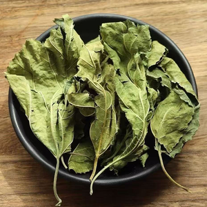 Hoja de Morera (Morus <span class=keywords><strong>Alba</strong></span>) para Té de Hierbas y Aplicaciones Alimentarias Funcionales - Product Image 1