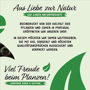 Ensemble de <span class=keywords><strong>tomates</strong></span> 16 x 10 cueillies à la main, 100% naturelles, <span class=keywords><strong>anciennes</strong></span> <span class=keywords><strong>variétés</strong></span> du Portugal, fournitures de jardin rares - Product Image 5