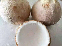 Máquina Automática para Limpiar, Pelar y Pulir Fibra de Cáscara de Coco para el Procesamiento de Frutas y Verduras, Alta Producción de 1200-1500 piezas/h