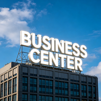 Letras Iluminadas LED para Exteriores, Personalizadas OEM ODM, Montadas con Pin, Recubiertas en Polvo, Galvanizadas, para Parques, Hoteles, Centros Comerciales, Edificios Urbanos