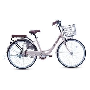 Alta calidad Tanga Nhat Road City Bicicleta para adultos-Marco de acero ligero Urban Commuter Bike del fabricante de Vietnam - Product Image 2