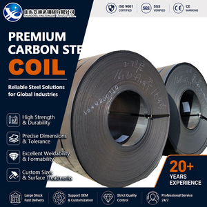 เหล็กม้วนคาร์บอน ASTM A36 เกรด SAE1006 S355JR รีดเย็น รีดร้อน หนา 2 มม. ยาว 1000 มม. สำหรับงานวิศวกรรม - Product Image 1