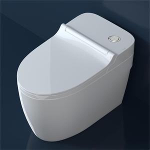 Гостиничный туалет без электричества, унитаз с биде - Product Image 3