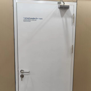 <span class=keywords><strong>Puerta</strong></span> Metálica Cortafuego de Una Hoja para Apartamentos, Hoteles e Interiores de Habitaciones, <span class=keywords><strong>Puerta</strong></span> de Acero Ignífuga de Una Hoja - Product Image 1