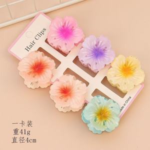 Color sólido dulce mate 6 unids/set pequeñas pinzas para el cabello mujeres niñas moda flor transparente Hawaii pinzas para el cabello accesorios para el cabello - Product Image 5