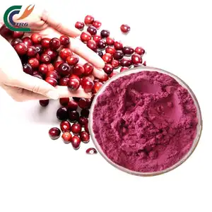 Hoge Kwaliteit Food Grade Vruchtensap Cranberry Extract Poeder