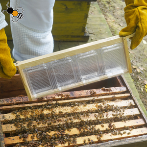 Venta al por mayor de alimentos de plástico transparente Honey Comb Box Honey Cassette Container para British Beehive Frame - Product Image 3