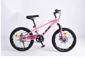 Bicicleta Infantil Nueva con Cuadro de Acero al Carbono Totalmente Resistente a Impactos, Horquilla, Ruedas de 20 Pulgadas, Frenos de Disco, Ruedas de Entrenamiento, Sillín Impermeable, Una Sola Velocidad - Product Image 5