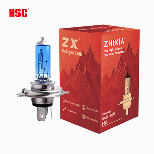 Ampoules de phare de voiture halogènes HSG H4/S25/T15/H9/H11 12V 21W blanches, remplacement, filament simple/double, garantie 1 an, <span class=keywords><strong>124</strong></span> <span class=keywords><strong>Spider</strong></span> - Product Image 1