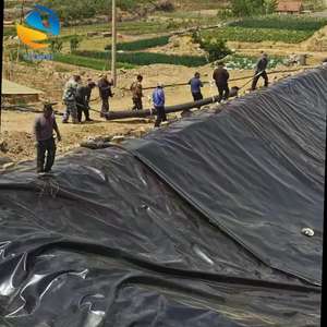 Revêtement de géomembrane HDPE texturé de conception industrielle, surface antidérapante pour couverture de décharge en pente, revêtement d'étang, approvisionnement direct en usine - Product Image 3