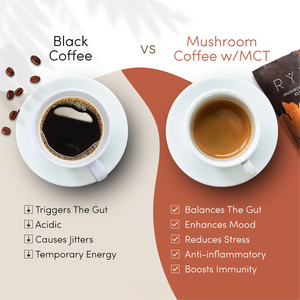 Fabrika kaynağı 10 in 1 mantar kahve tozu aslan Mane <span class=keywords><strong>Shiitake</strong></span> türkiye kuyruk Reishi Cordyceps mantar kahve anında toz - Product Image 4