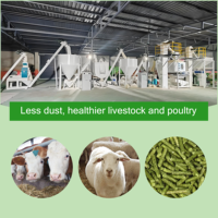 Ligne de production de granulés d'aliments pour animaux entièrement automatisée, capacité de 2 tonnes/h, matériaux en alliage, pour volailles, bovins, ovins, poulets, canards