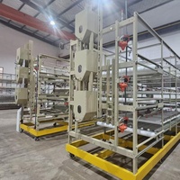 Système de cages à poulets de type H en acier galvanisé pour élevage avicole avec une longue durée de vie
