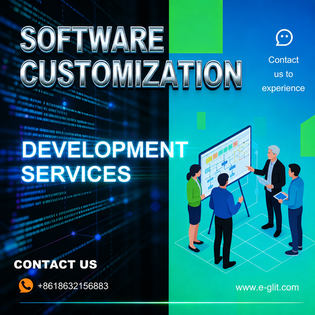 ERP CRM WMS Human Resource Management System Solution for Chinese Software Customization Enterprise Management Software