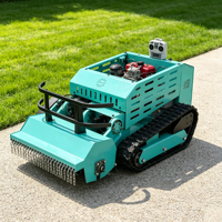 Robot tondeuse à gazon chenillée télécommandée 800 mm, moteur diesel 4 temps, certifié CE EPA, pour vignoble, ferme, champ, bricolage