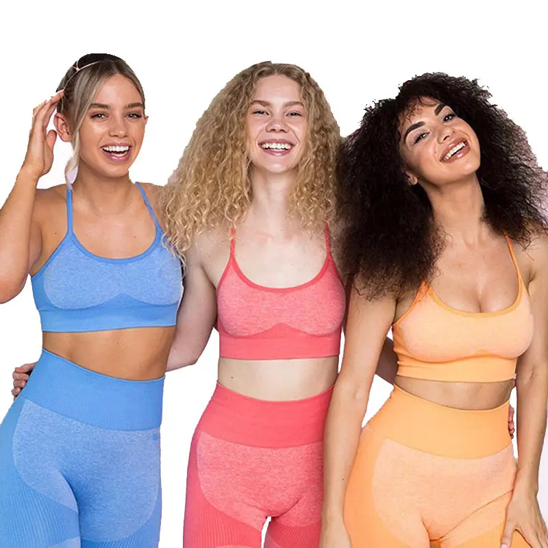 Women's High Intensity Sports Fitness Wear Seamless Knit Yoga Suit Running Cycling Sportswear