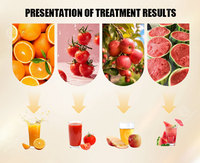 Granaatappelsapmachine, zware slowjuicer met crushfunctie, industriële sinaasappelpers, koude pers sapcentrifuge