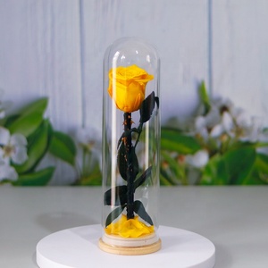 2024 Regalo de <span class=keywords><strong>Cumpleaños</strong></span> flor preservada Rosa cúpula de cristal regalos para mujeres <span class=keywords><strong>rosas</strong></span> preservadas con tallo rosa de cristal flores eternas - Product Image 6