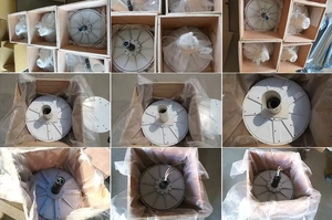 Generador de Flujo Axial sin Núcleo, Sin Histeresis ni Efecto de Entalladuras en los Engranajes, para un Arranque Suave - Product Image 1