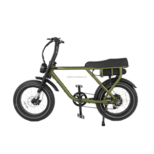 Vélo électrique à pneus larges 20 pouces avec batterie au lithium 48V 20AH, moteur sans balais, cadre en alliage d'aluminium, porte-bagages arrière, 250W/500W/750W - Product Image 4