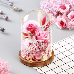 Rosa Eterna Sotto Campana di Vetro con Luce, Set <span class=keywords><strong>Regalo</strong></span> <span class=keywords><strong>Romantico</strong></span> Pronto da Regalare <span class=keywords><strong>per</strong></span> <span class=keywords><strong>Lei</strong></span>, San Valentino, Laurea, Compleanno, Anniversario - Product Image 6