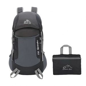Muestra Gratuita de Mochila Plegable con Logotipo, Bolsas de Viaje Más Vendidas para Uso en Viajes, Fabricante Físico, MOQ Bajo - Product Image 1
