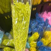 Großhandel für konservierten Gersten- und getrockneten Weizengrasstrauß: Natürlicher Wildhafer-Blumenstrauß, getrockneter Avena Sativa
