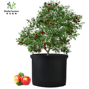 <span class=keywords><strong>Maceta</strong></span> <span class=keywords><strong>de</strong></span> vivero extra grande <span class=keywords><strong>de</strong></span> 20-45 galones para cultivo <span class=keywords><strong>de</strong></span> frutas y verduras, bolsa <span class=keywords><strong>de</strong></span> tela no tejida, Material <span class=keywords><strong>de</strong></span> fibra vegetal para jardinería <span class=keywords><strong>de</strong></span> flores - Product Image 2