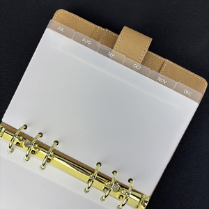 ตัวแบ่งแท็บแผ่นฟอยล์สีเงินแบบกำหนดเองได้แถบพลาสติกใส12แท็บตัวแบ่งการวางแผน<span class=keywords><strong>ราย</strong></span><span class=keywords><strong>เดือน</strong></span>ตัวแบ่งแผนบรรจุภายในหน้า PP สำหรับตัวยึด - Product Image 5