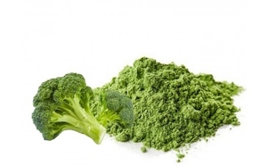 Cina impresa fornitura di Broccoli estratto (Brassica Oleracea) 10:1 in polvere di Broccoli - Product Image 4