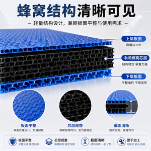 แผ่นรังผึ้ง PP วัสดุใหม่ Dasheng หนา 3-20 มม. สีน้ำเงินดำ รูปทรงสี่เหลี่ยมผืนผ้า สี่เหลี่ยมจัตุรัส ปรับแต่งได้ สำหรับบรรจุภัณฑ์และการขนย้าย - Product Image 3