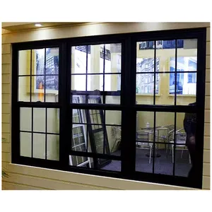 Various types of American windows single hung double hung window low U-factor glass aluminum windows