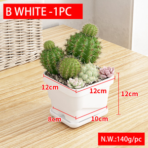 Vaso in <span class=keywords><strong>plastica</strong></span> con controllo radicale, protezione delle radici e anti-marciume per piante, ideale per balconi, piccole serre e semenzai - Product Image 4