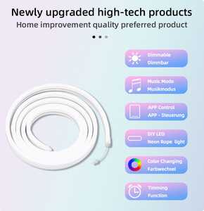 3M 5M 10M địa chỉ rgbic <span class=keywords><strong>pixel</strong></span> coloured tuya với điều khiển từ xa Bluetooth <span class=keywords><strong>Wifi</strong></span> đèn <span class=keywords><strong>LED</strong></span> Neon dải linh hoạt ánh sáng - Product Image 4