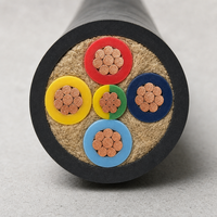 Câble d'alimentation 0,6/1 kV YJV YJV22 en cuivre XLPE 5 conducteurs 4x4+1x2,5 4x6+1x4 mm² blindé à bande d'acier