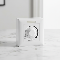 Regulador de Intensidad Rotatorio Continuo de 0/1-10V con Aislamiento PWM Estándar de 110V 220V y Control Remoto Infrarrojo