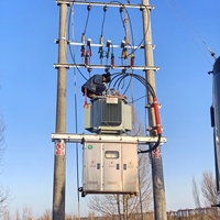 Transformador de Distribución Montado en Poste Sumergido en Aceite S11 S13 10kV 11kV 50-1000kVA, Transformador de Poste de Potencia con Bobinado de Cobre y Aluminio