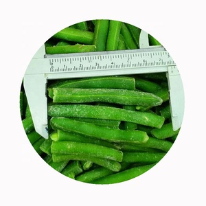 Haricots verts surgelés XMSD IQF |   Styles coupés et tranchés disponibles pour les acheteurs mondiaux <span class=keywords><strong>de</strong></span> <span class=keywords><strong>légumes</strong></span> - Product Image 2
