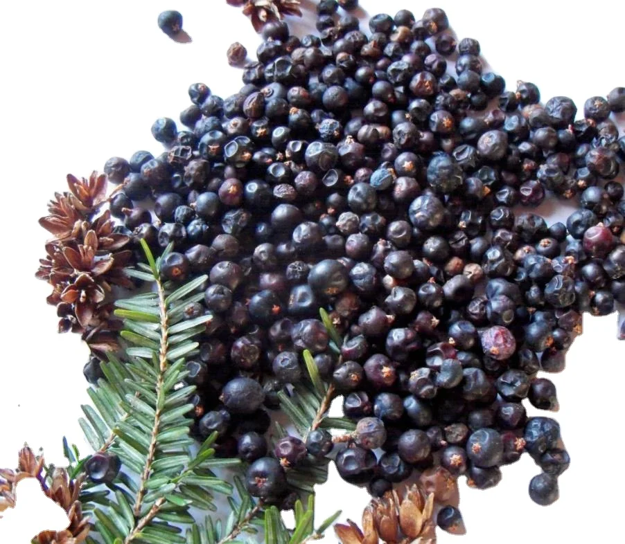 Du Song new havested ripe fruits high quality Natural dried Juniper Berries for food