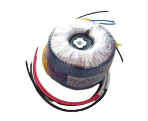 Biến áp hình xuyến biến áp điện 110V 220V 230V 240V 45V 24V 0 24V - Product Image 5